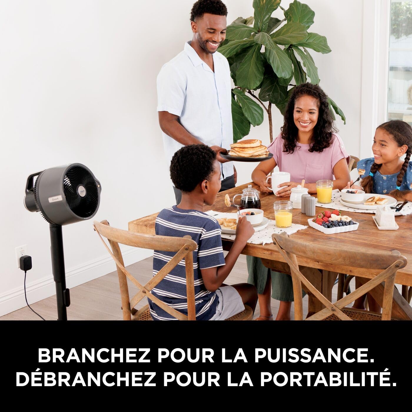 Shark FlexBreeze Pro Mist Ventilateur intérieur/extérieur sans fil, Brumisateur portable, Portée 20 m, Sur pied ou de table, 5 vitesses, Silencieux, Télécommande, Gris Charbon FA300EU