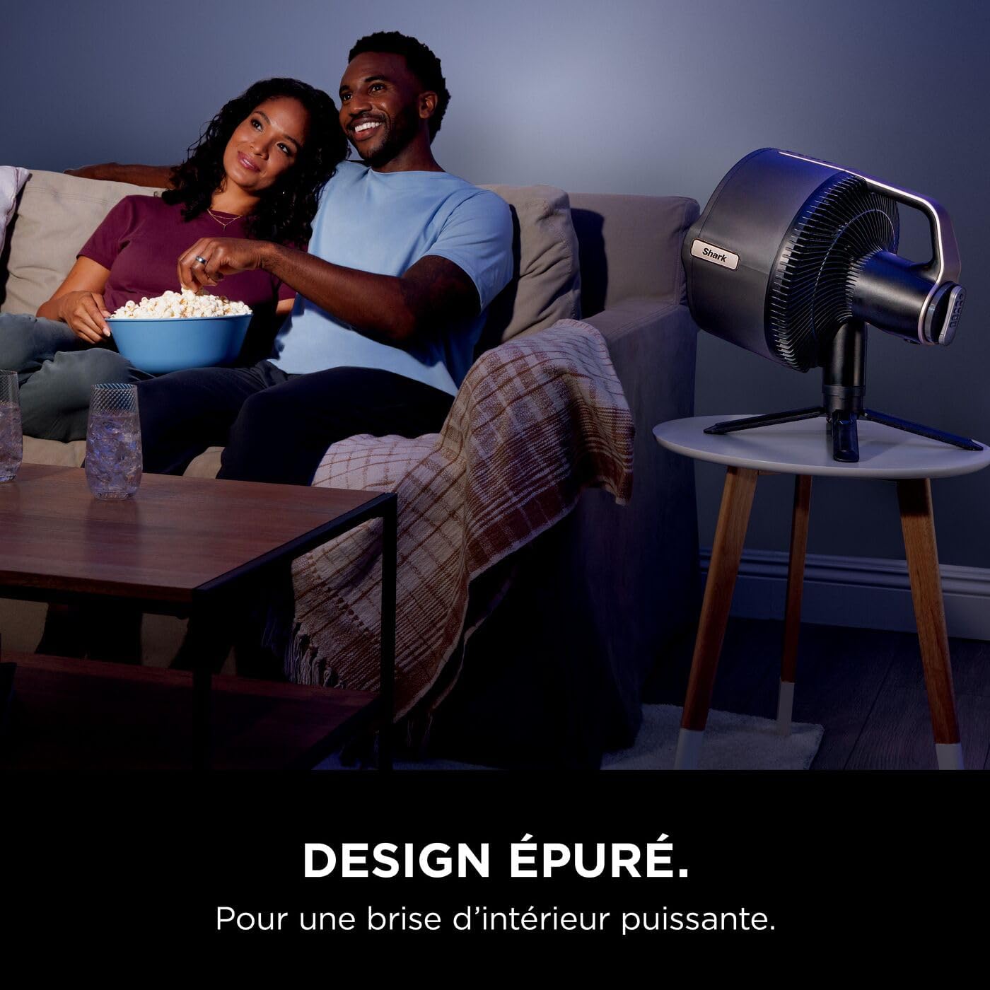 Shark FlexBreeze Pro Mist Ventilateur intérieur/extérieur sans fil, Brumisateur portable, Portée 20 m, Sur pied ou de table, 5 vitesses, Silencieux, Télécommande, Gris Charbon FA300EU