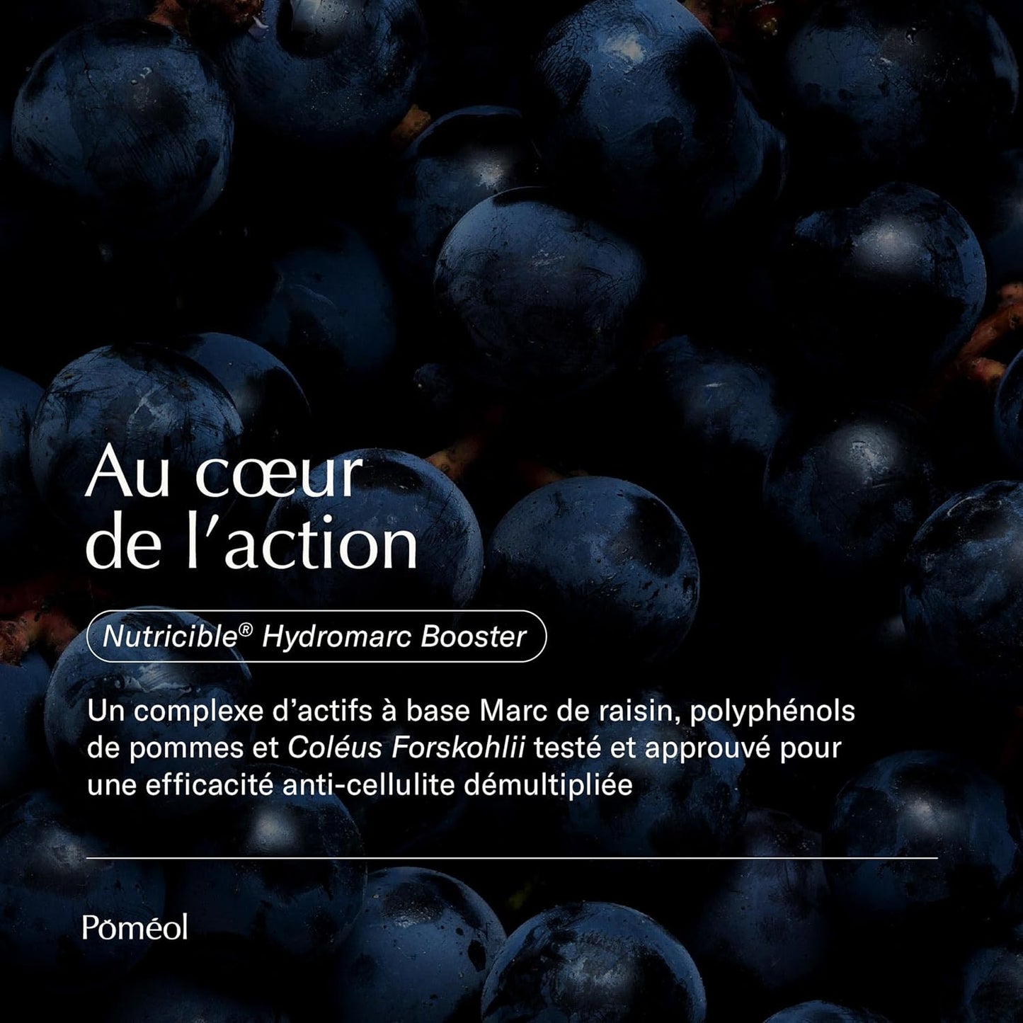 Complément Alimentaire Anti-cellulite | Réduit la peau d'orange, élimine les capitons | Coléus forskohlii, Marc de raisin, Fenouille, Vitamines C, B2, B6, B12 | Liposculpteur | 30 jours | POMÉOL
