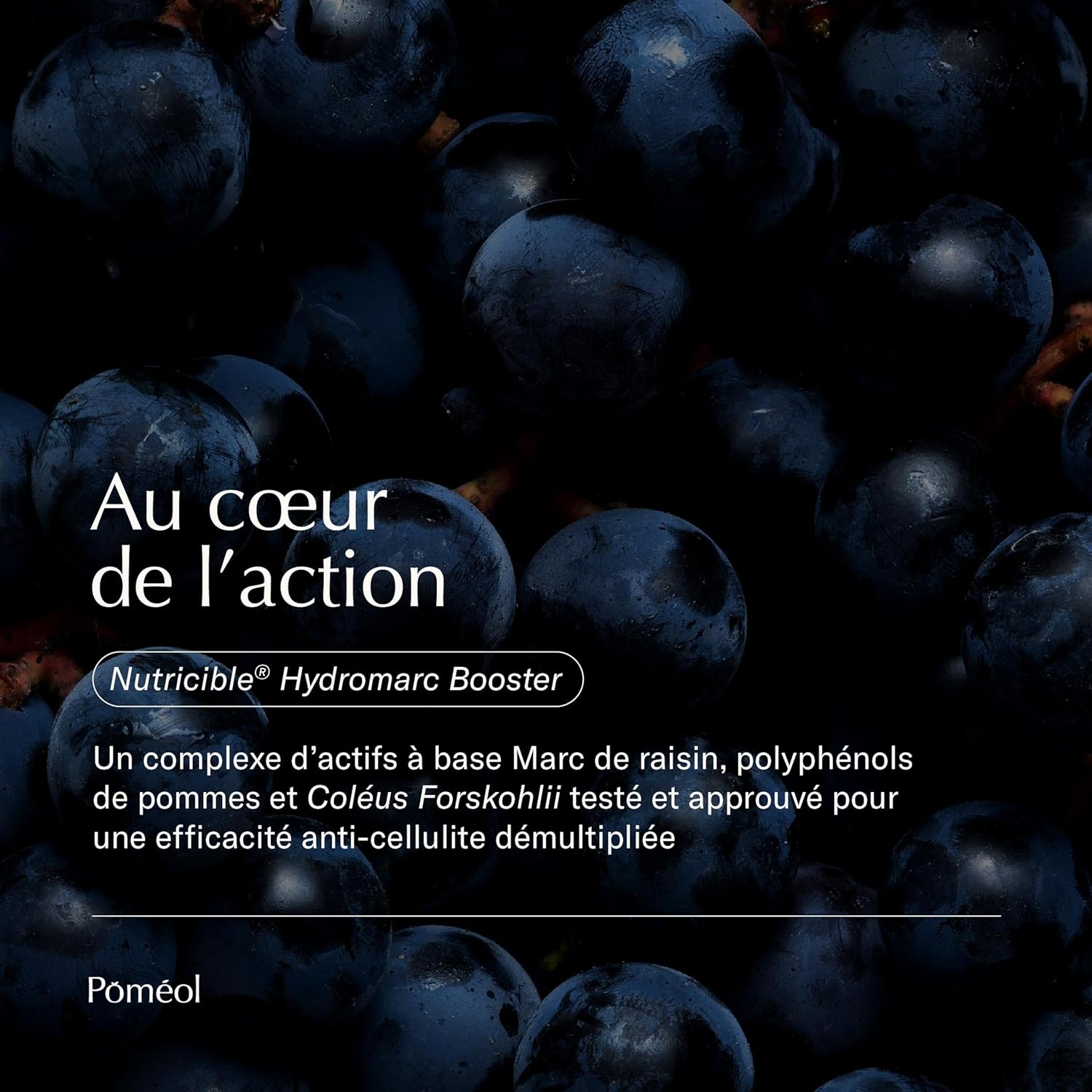 Complément Alimentaire Anti-cellulite | Réduit la peau d'orange, élimine les capitons | Coléus forskohlii, Marc de raisin, Fenouille, Vitamines C, B2, B6, B12 | Liposculpteur | 30 jours | POMÉOL
